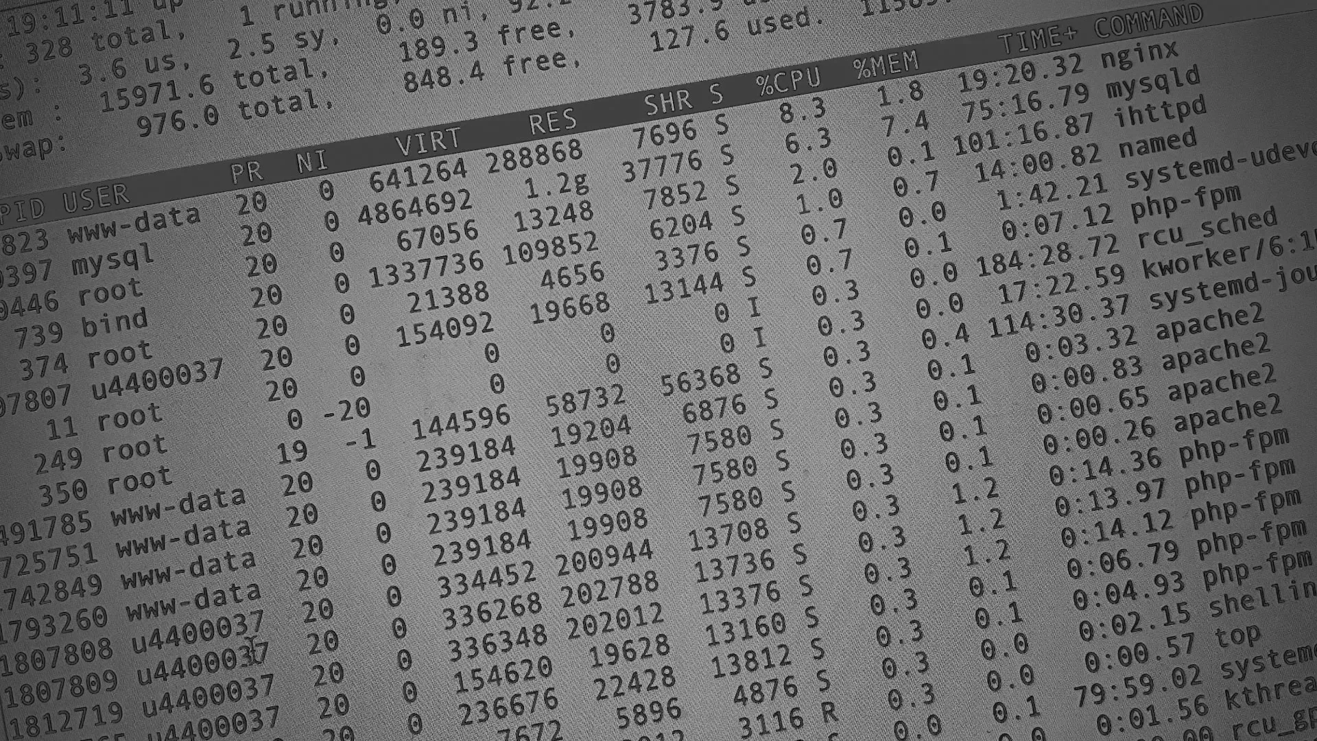 Настройка сервера в Кашире