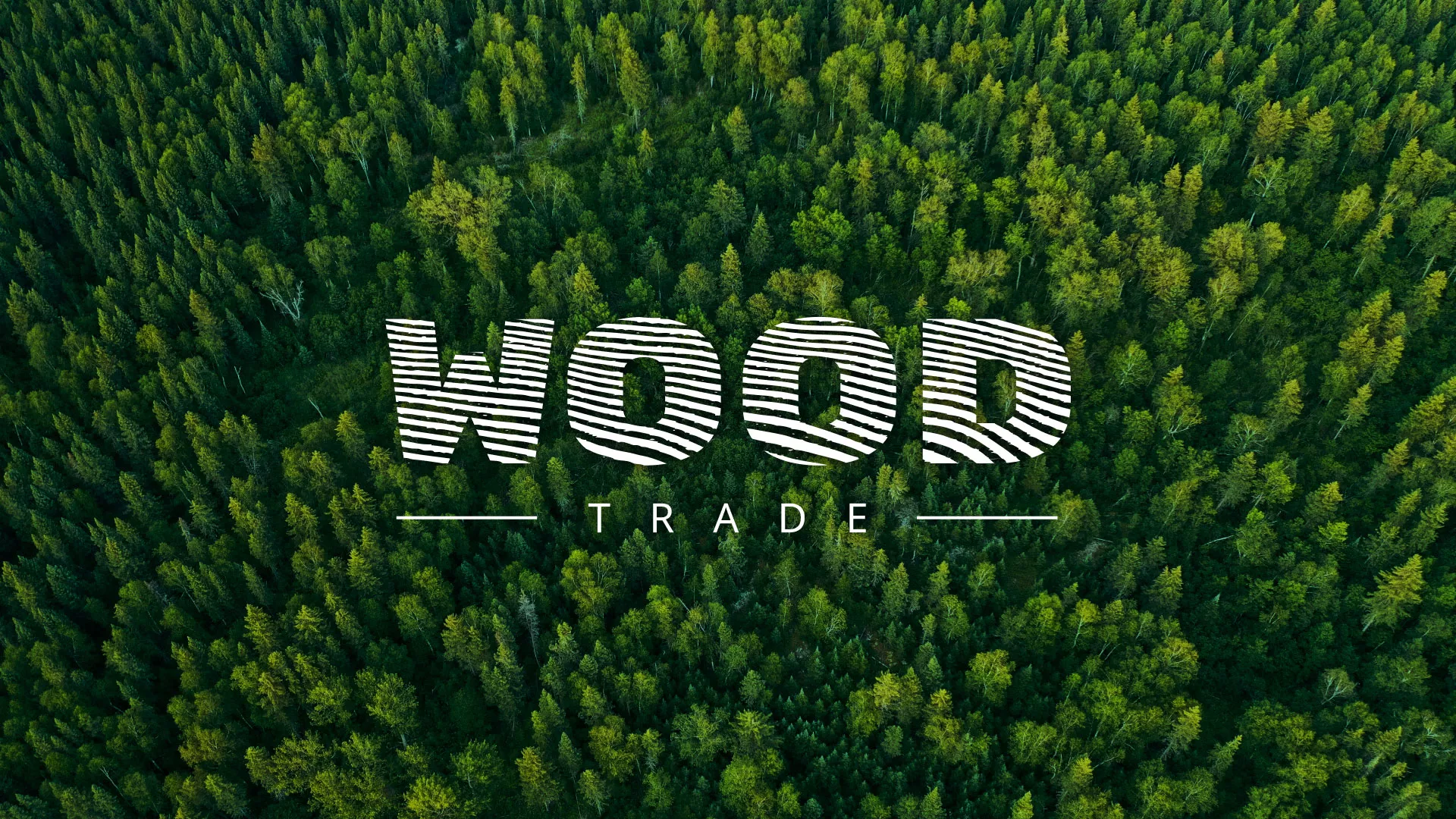 Разработка интернет-магазина компании «Wood Trade» в Кашире